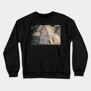 Two children, each side of the stream, worlds apart Crewneck Sweatshirt